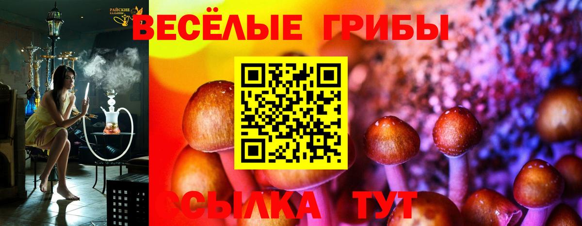 Галлюциногенные грибы мицелий  Вход с VPN  Алушта 